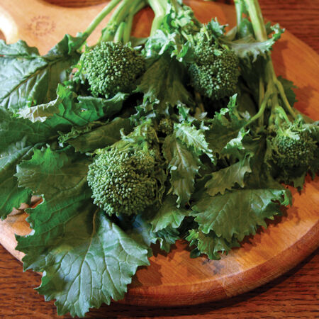 Sorrento, Broccoli Seeds - Packet image number null